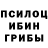 Бошки марихуана сатива Eilon Glitch